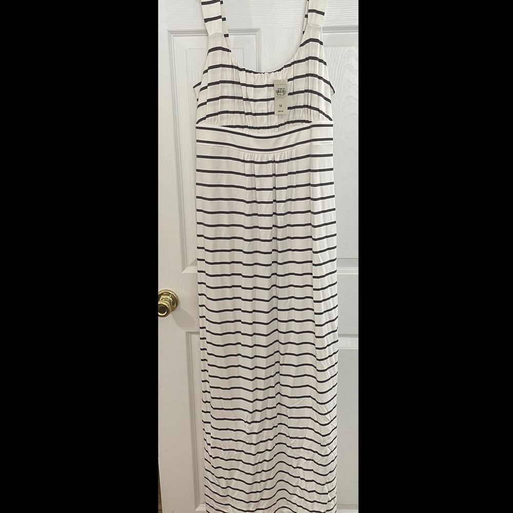 NEW Ann Taylor Dress sz M